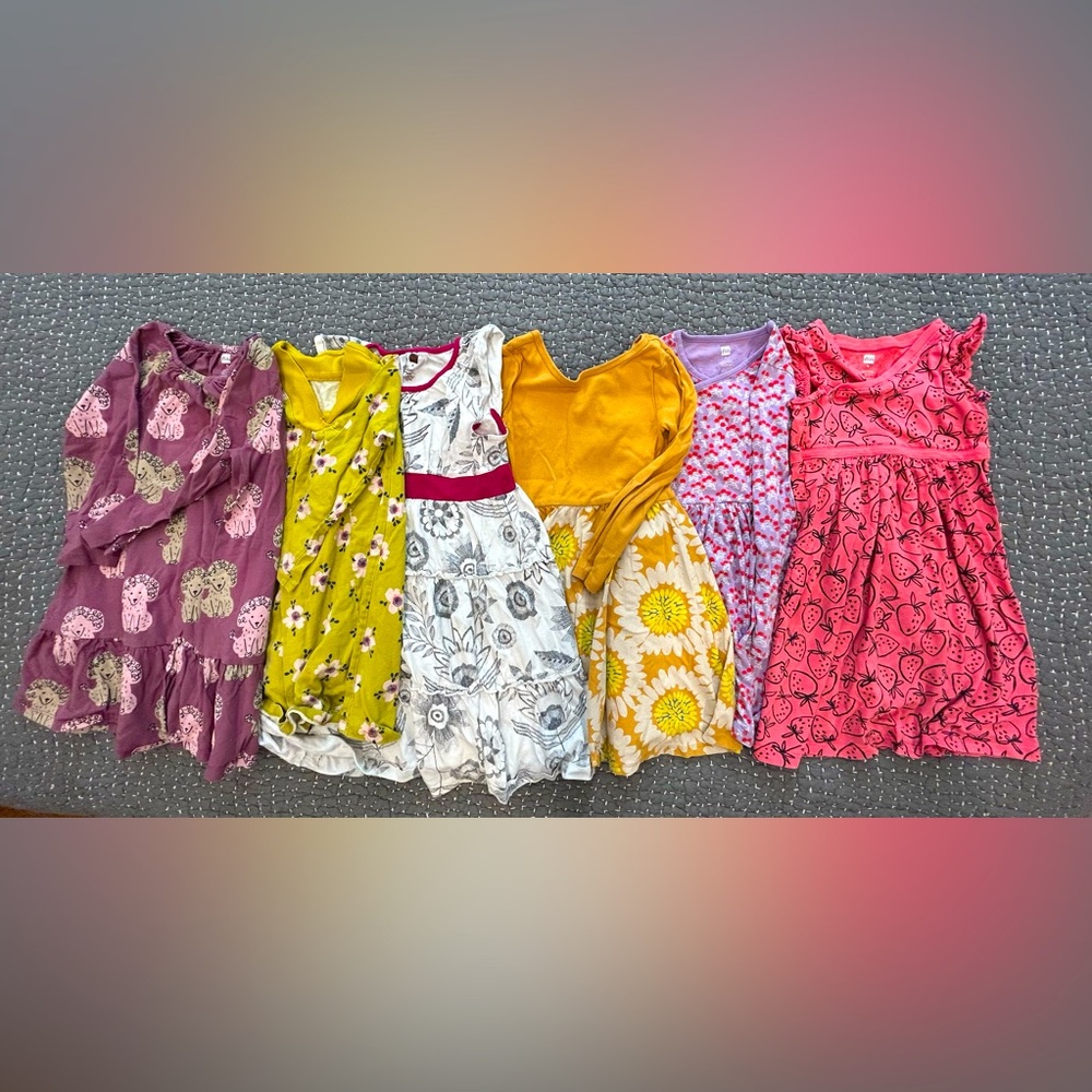 Back to School Lot - Tea Collection Dresses 6